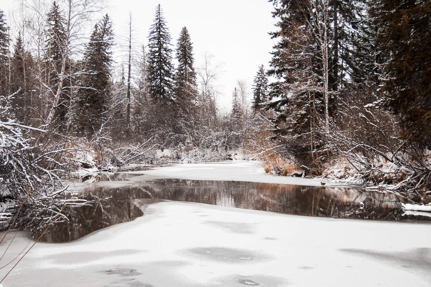 Зима на р.Кантат