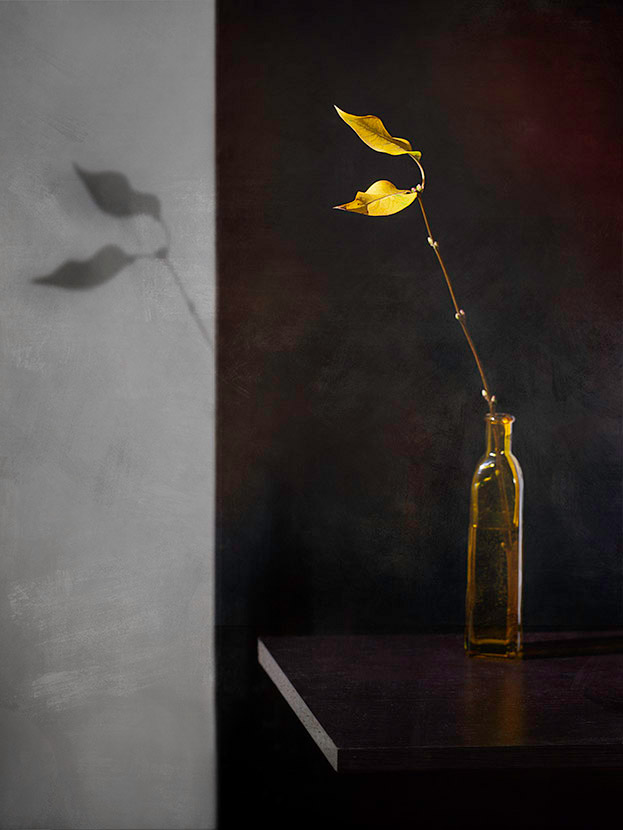 осенние листья