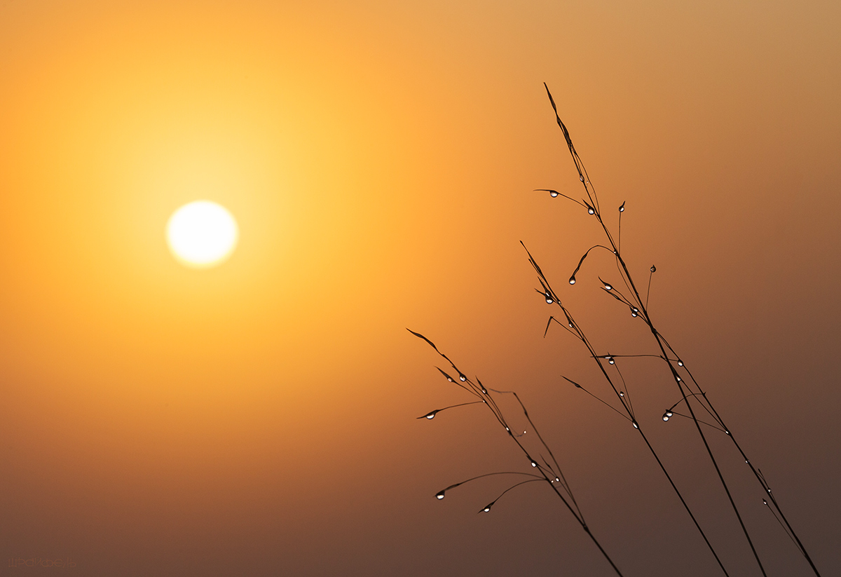 Утро теплого дня