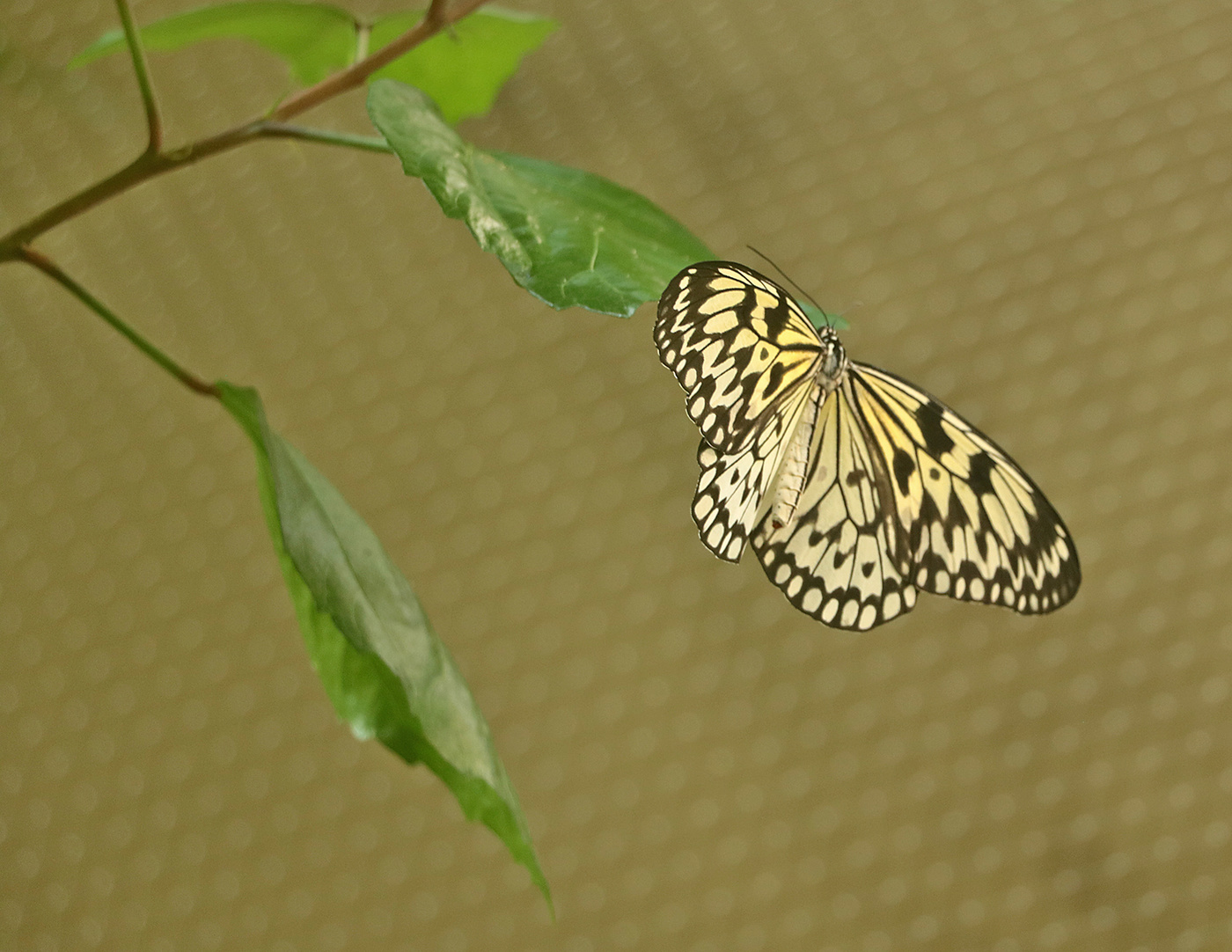 В невесомости...