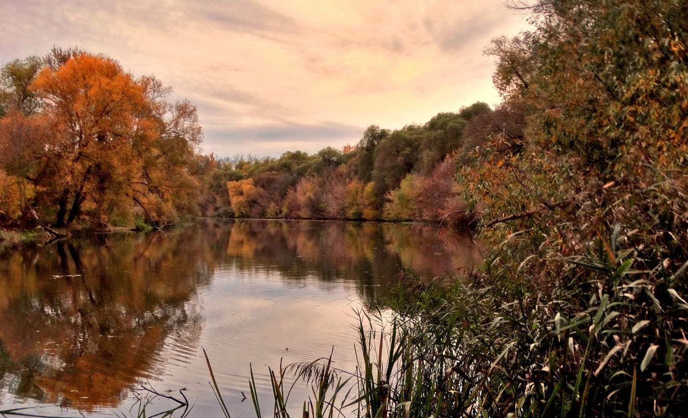 В октябре на Орлике