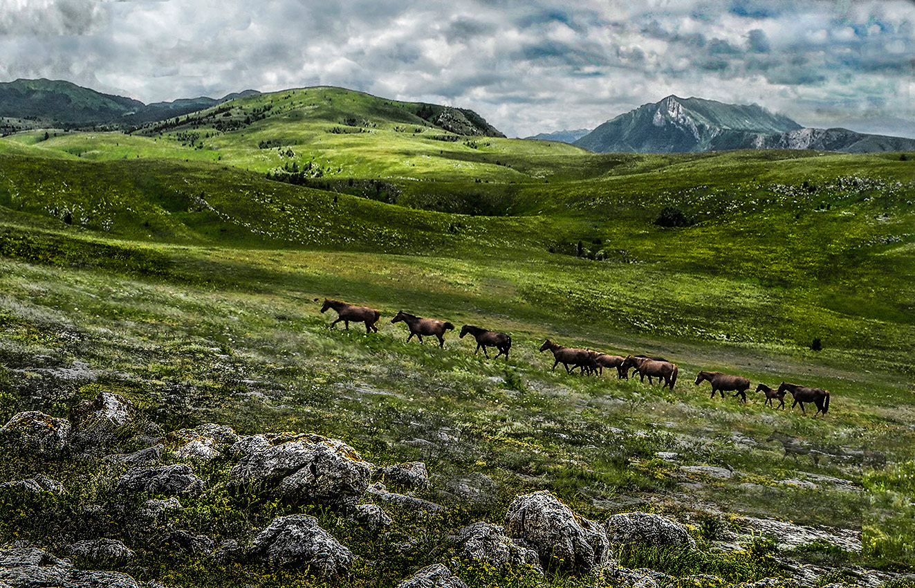 Рядовая жизнь.
