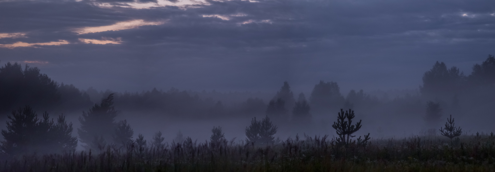 Странности тумана