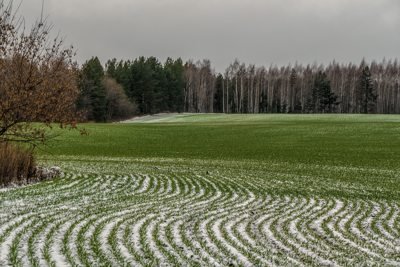 Скоро, скоро...