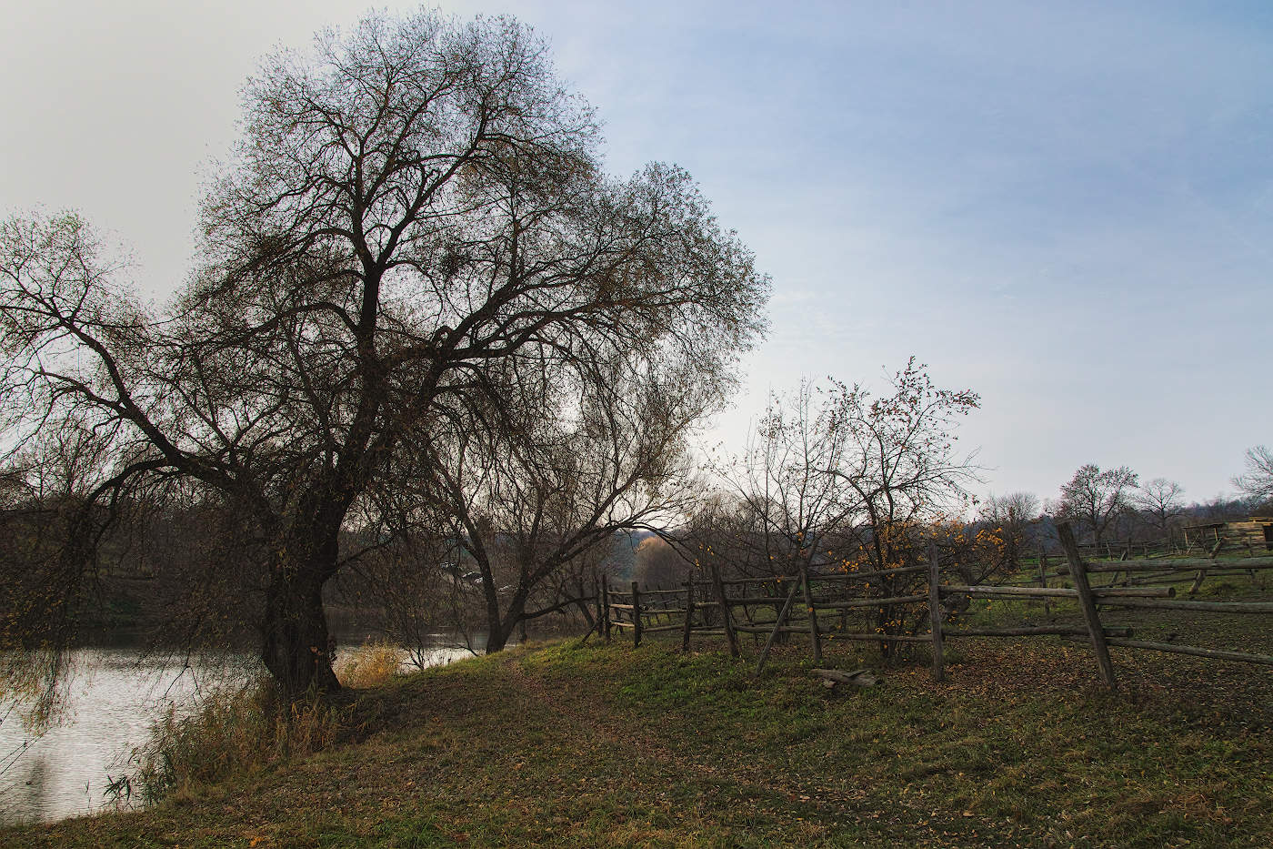 Последние мгновения осени