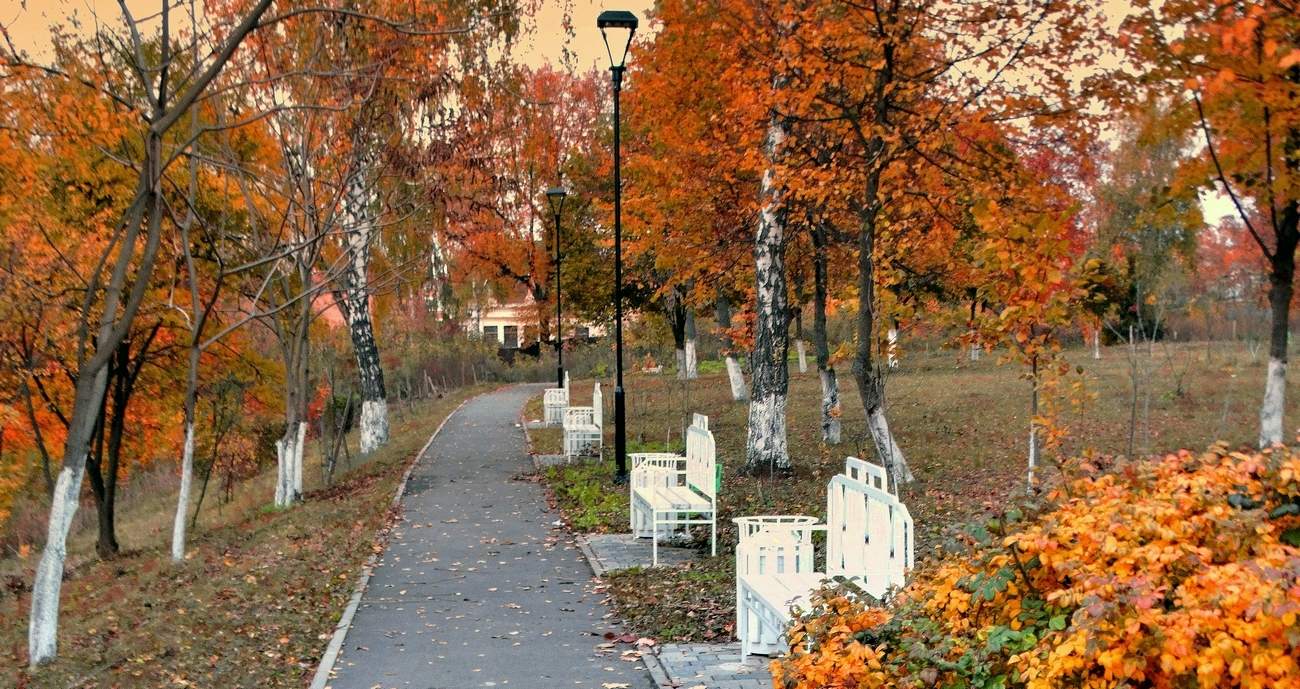 В парке Дворянское гнездо