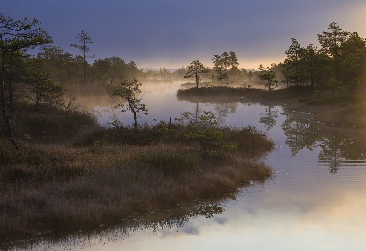 Погружение в сон