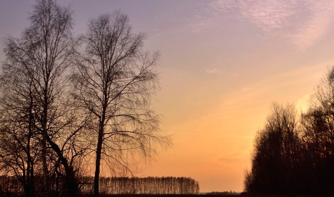 Последний аккорд осени