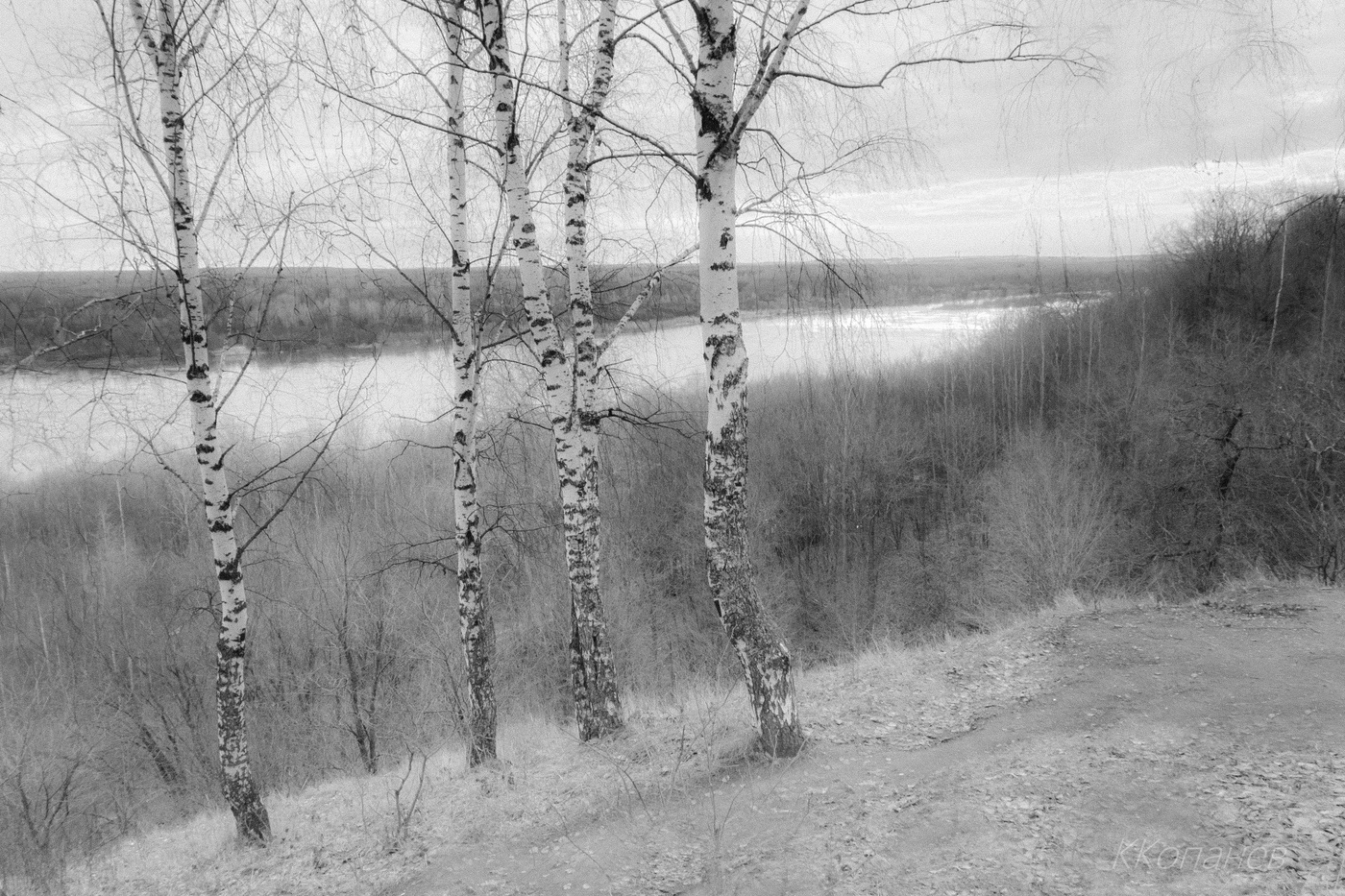 На высоком берегу