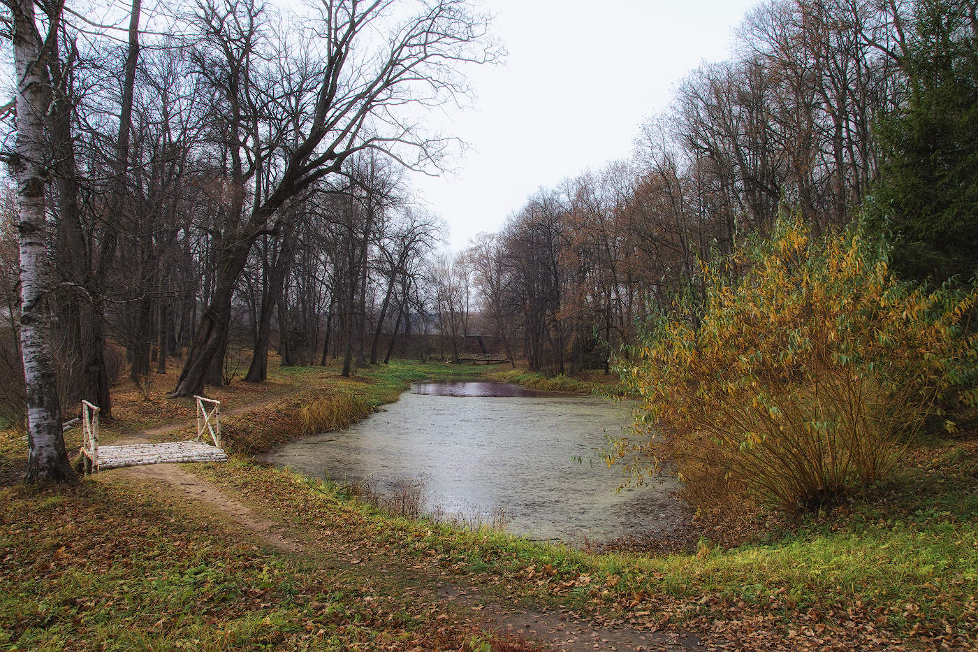 Последний аккорд осени