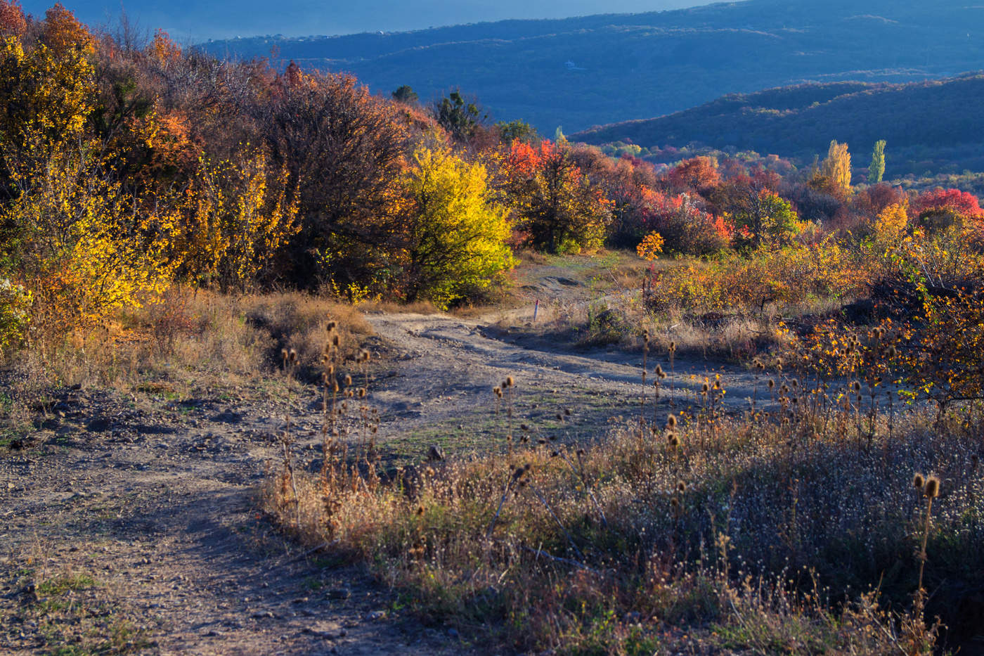 Последний аккорд осени