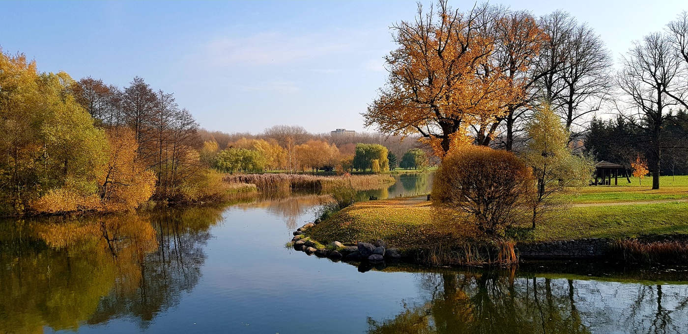 последний аккорд осени