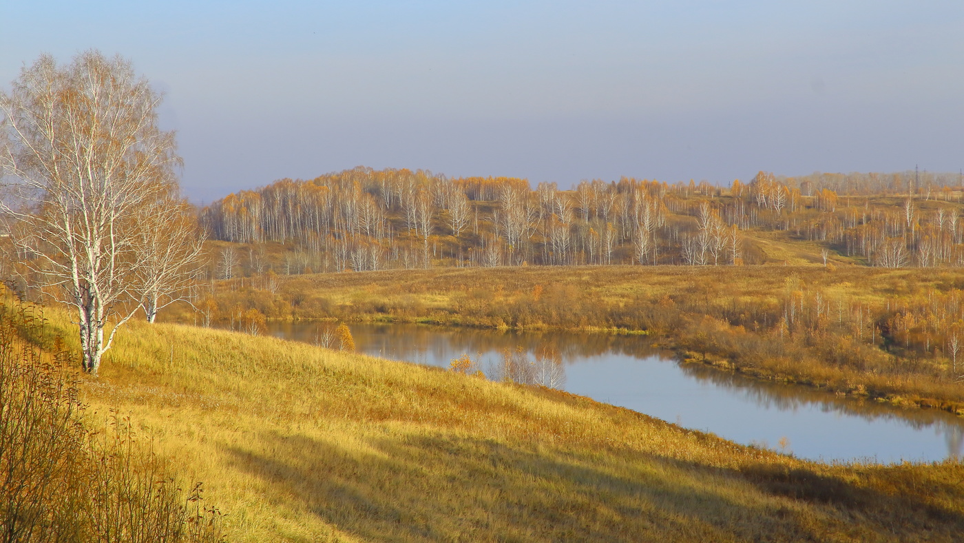 Последний аккорд осени