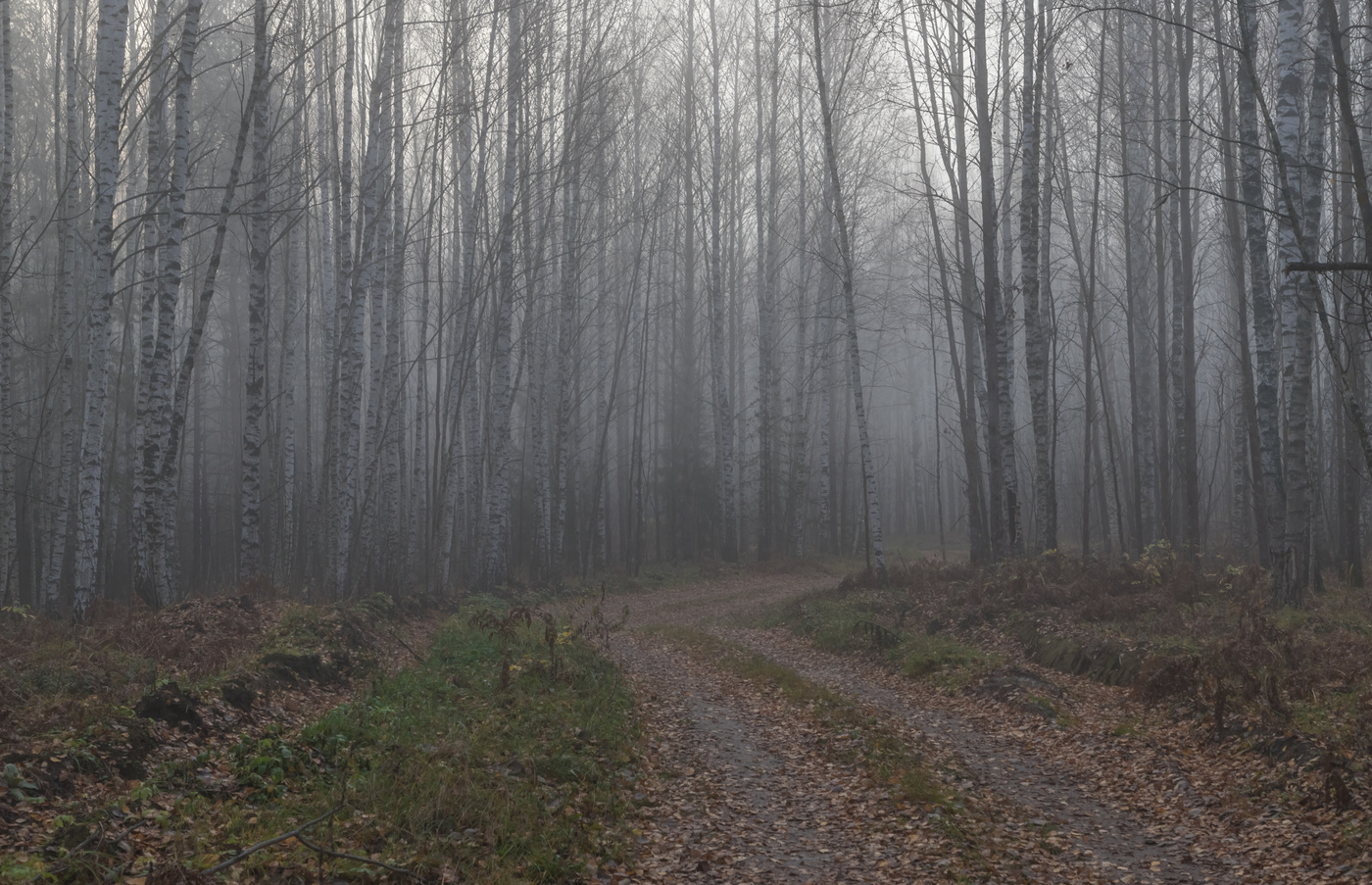 Последний аккорд осени