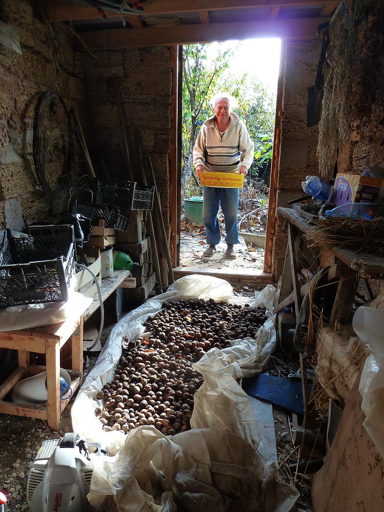 Последний аккорд осени