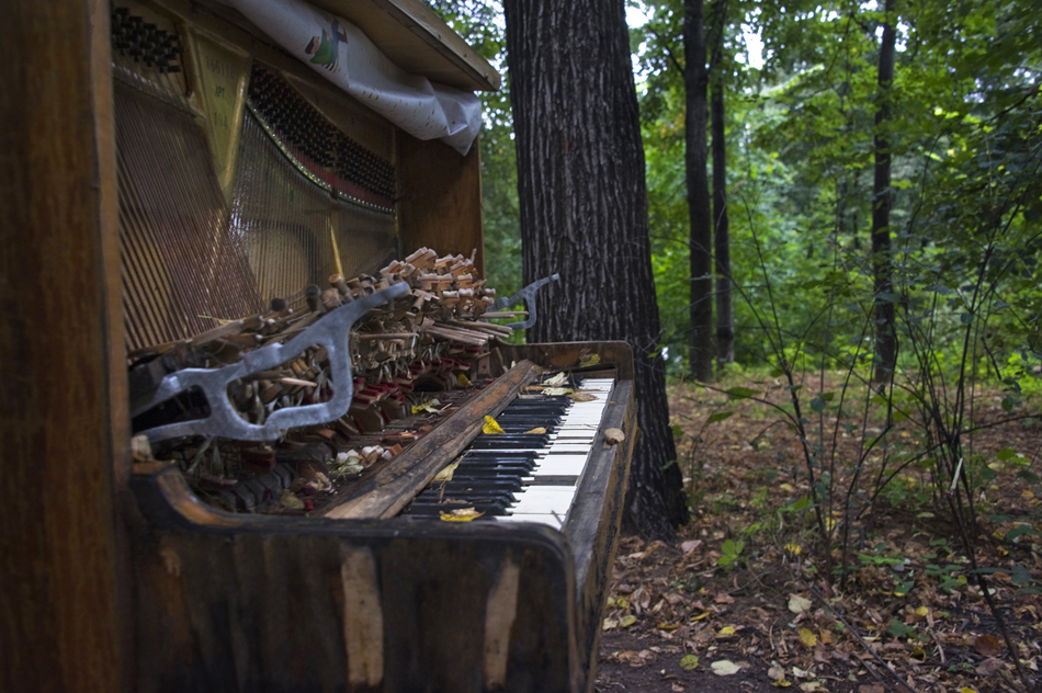 Последний аккорд осени