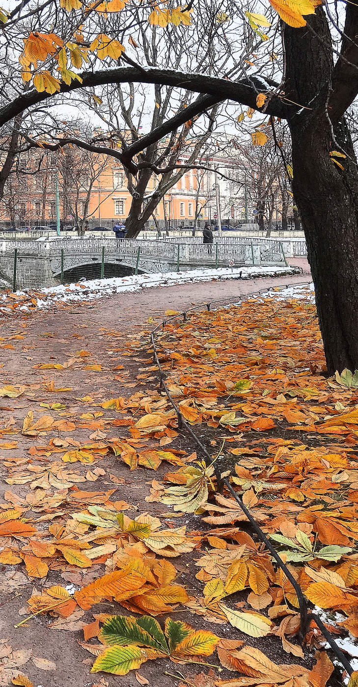 Последний аккорд осени