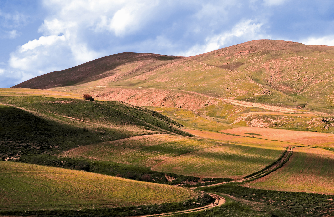 Форма,линия,цвет