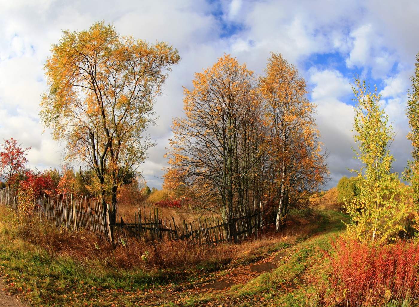 Осень в Крупенино