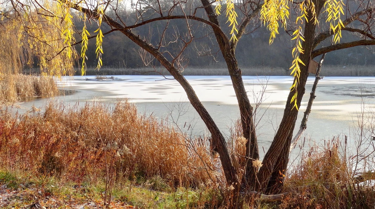 Последний осени аккорд
