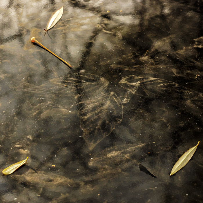 Последний аккорд осени