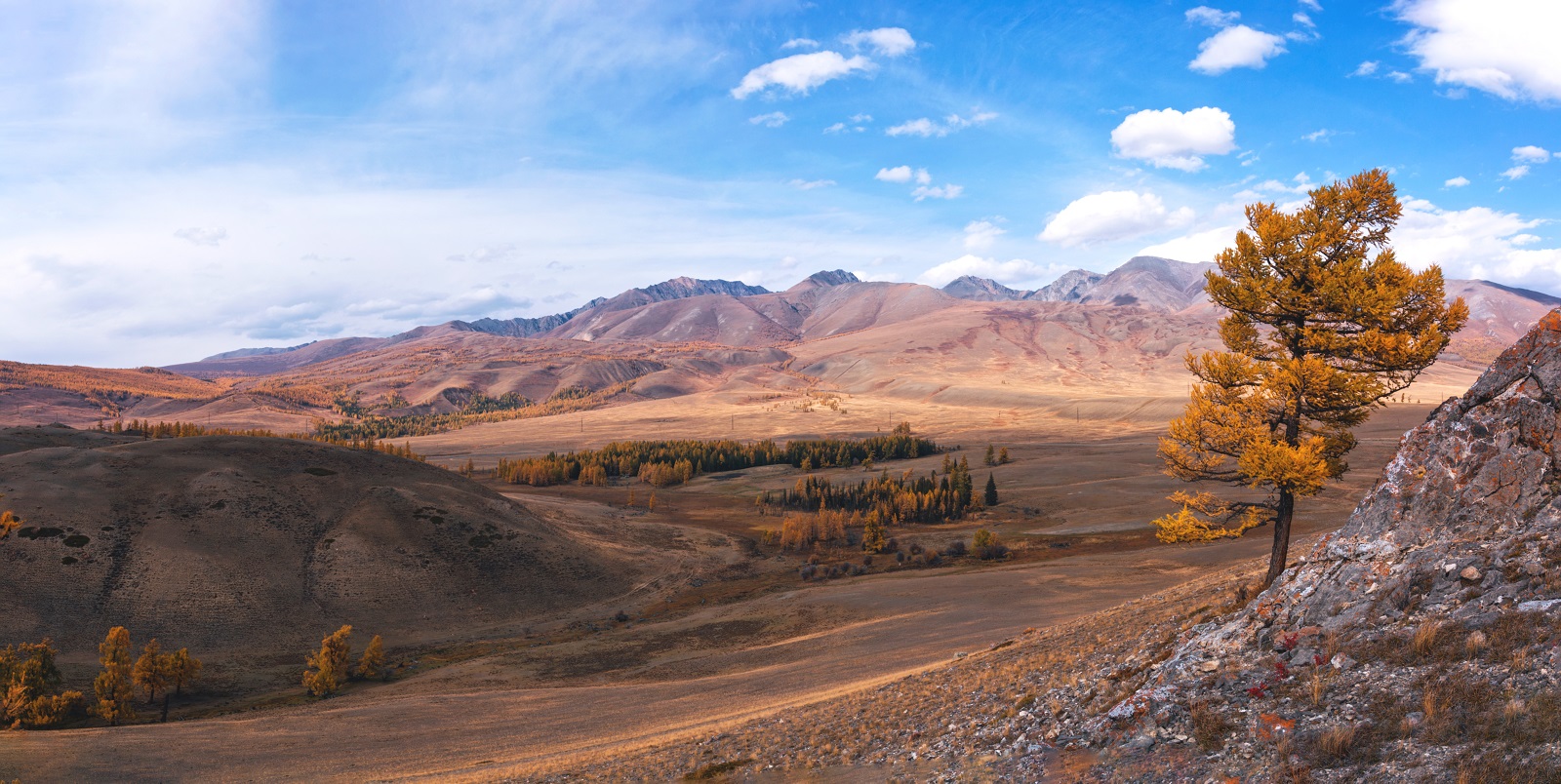 Последний аккорд осени