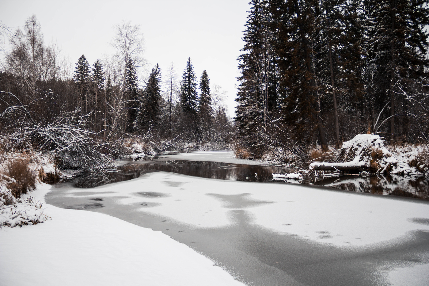 Между осенью и зимой.