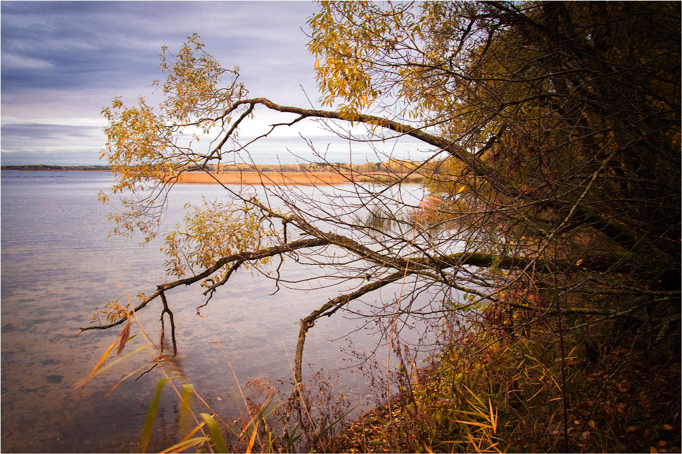 Нарочанский вечер