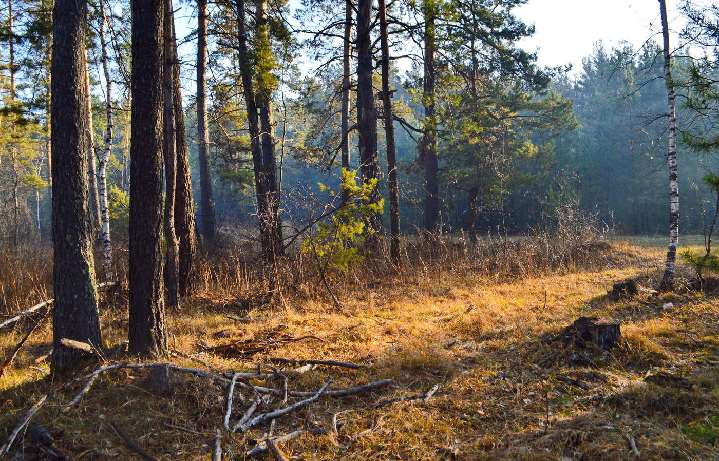 осень нас балует