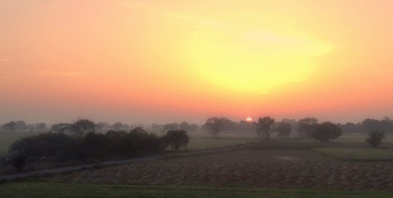 Зарисовка утренней зари в тумане