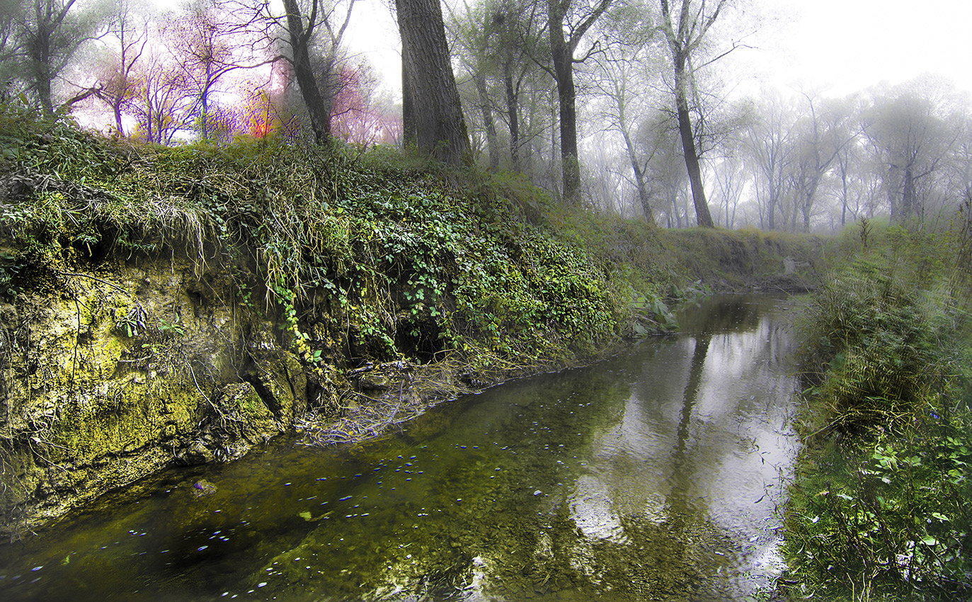 Об осенних туманах.