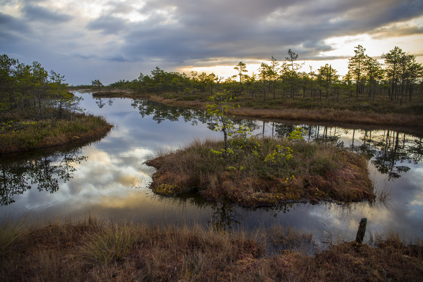 Остров царевны-лягушки