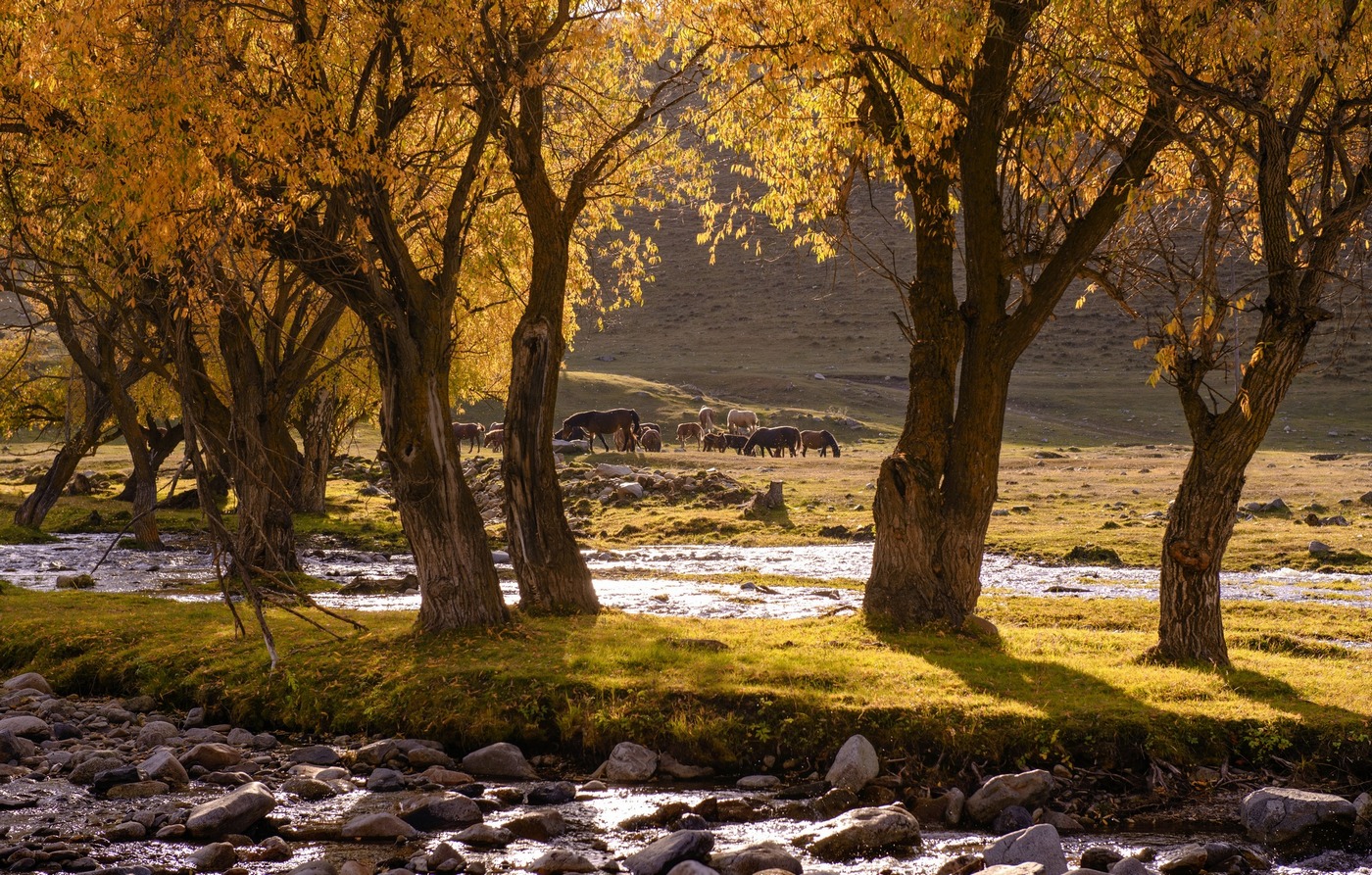 Теплая осень.