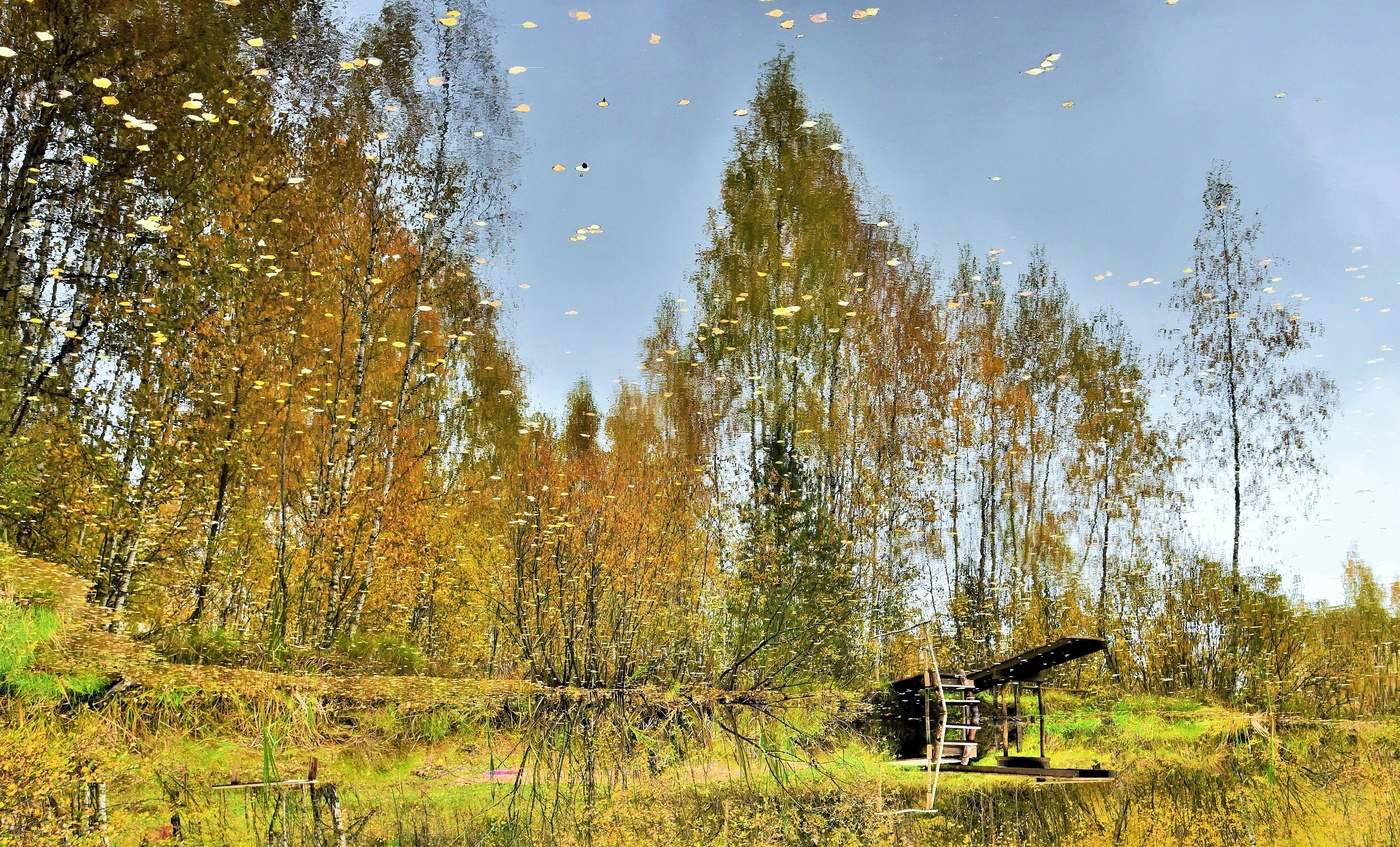 "Взглянула Осень в зеркало пруда ..."