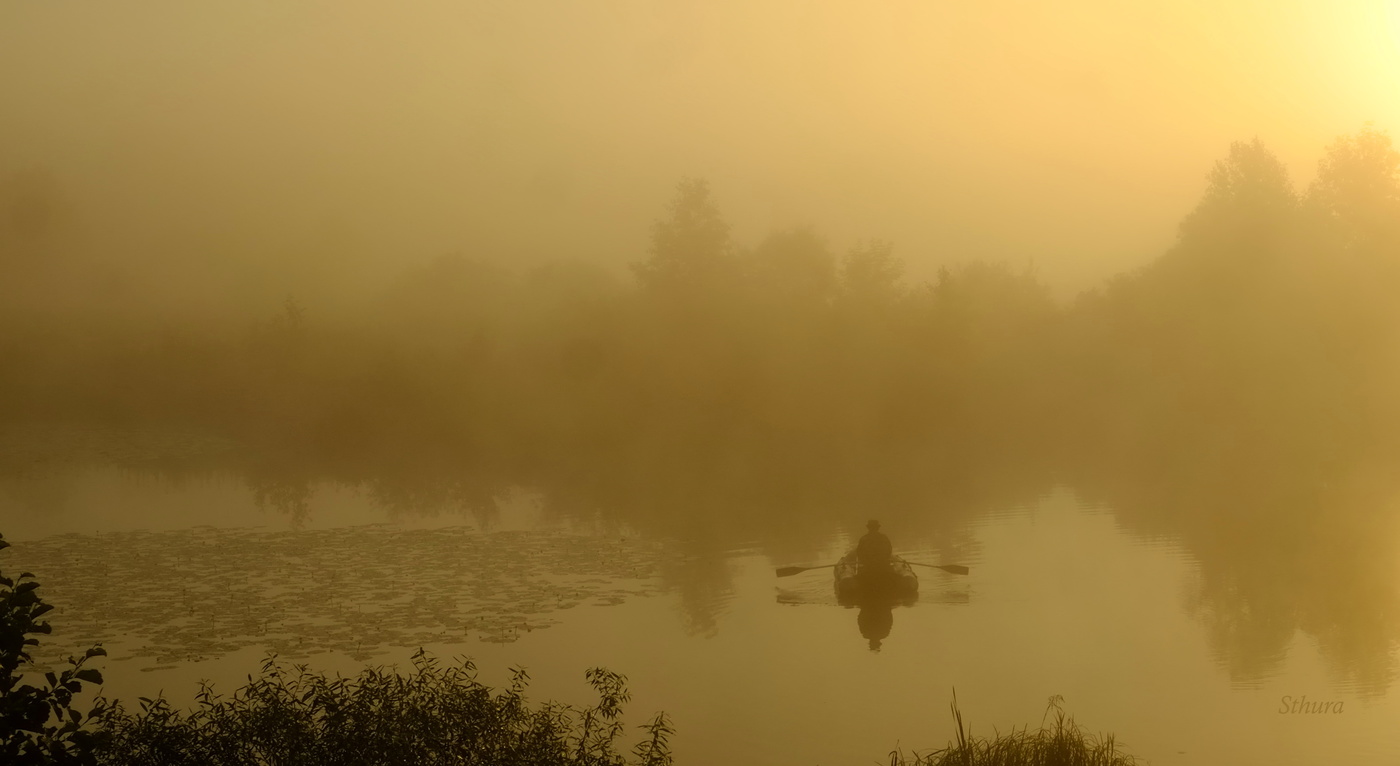 В туман за рыбой.