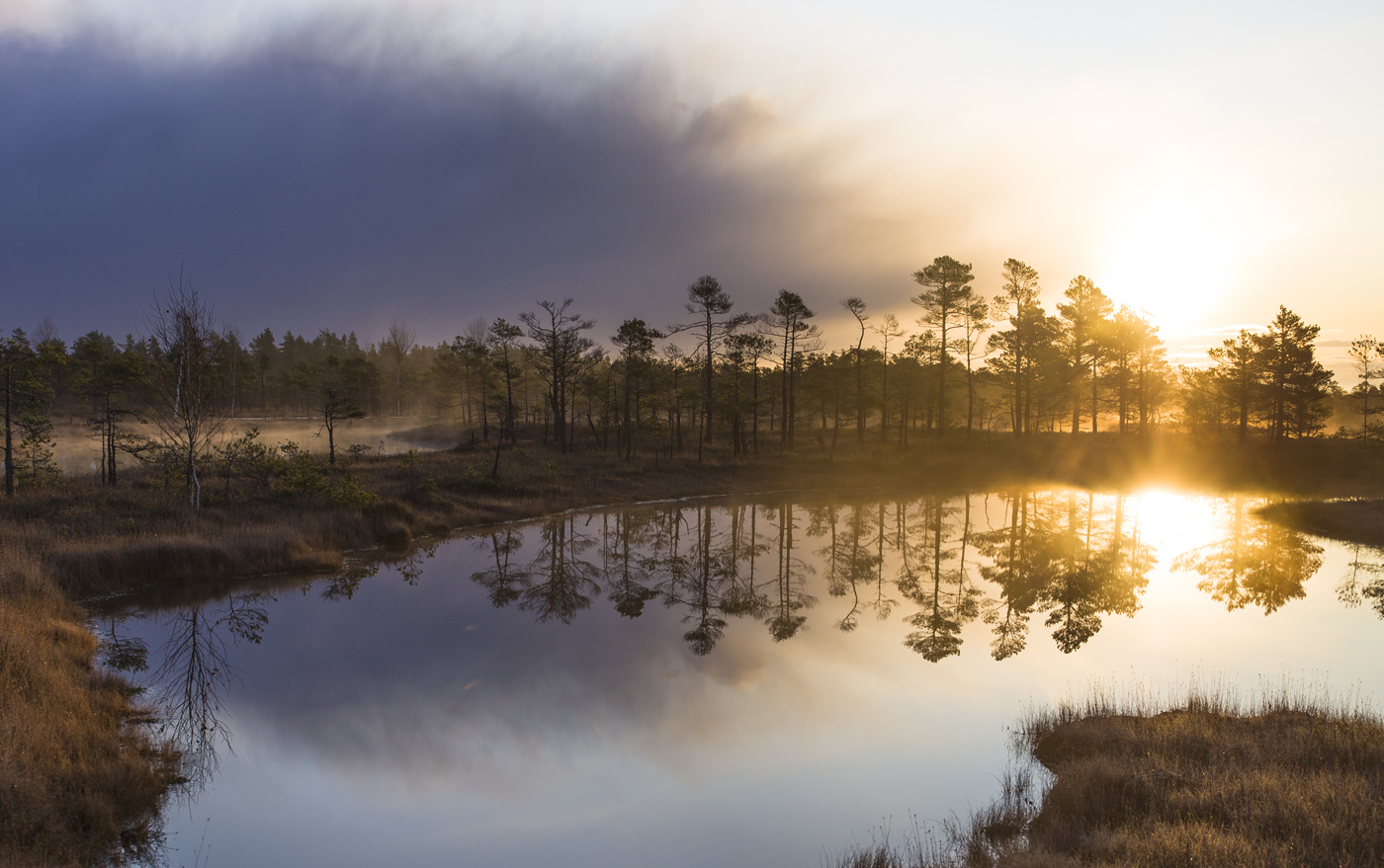 Осеннее солнце