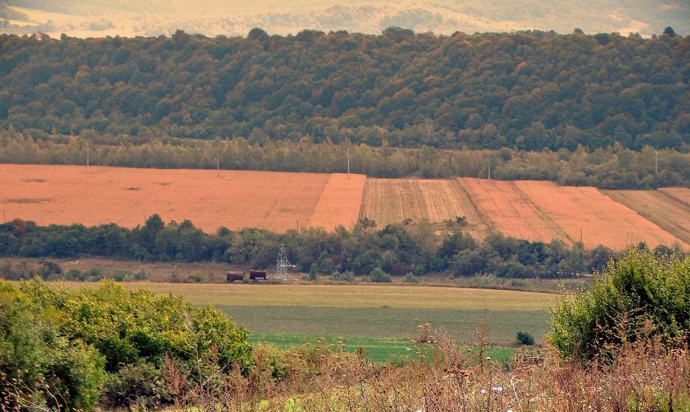 Поля и горы КБР