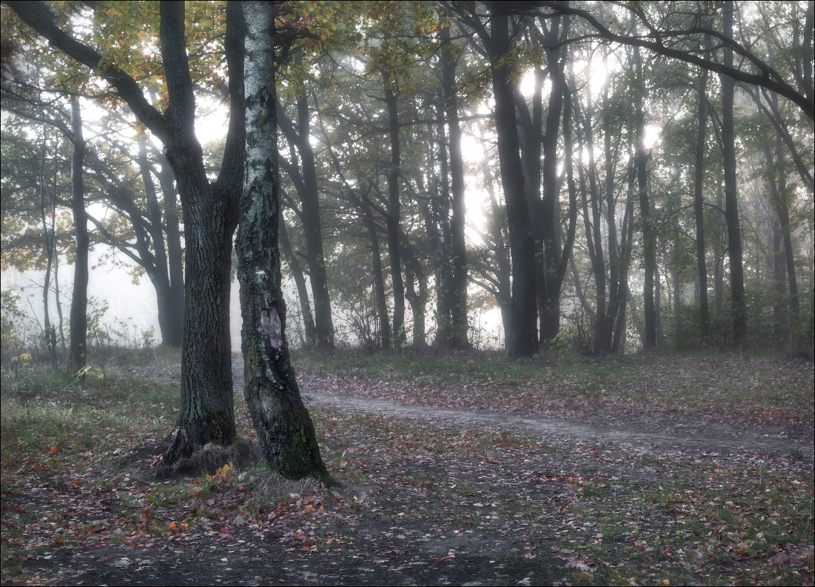 Осеннее утро