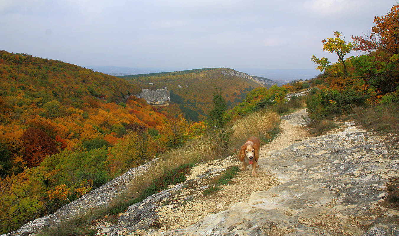 На горном плато