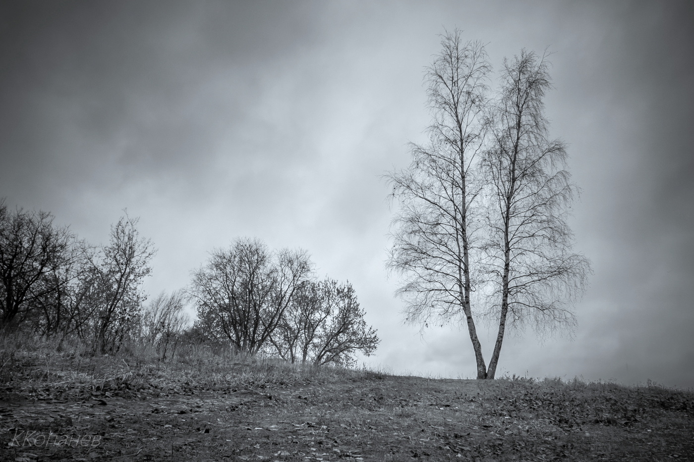 Дождливый день