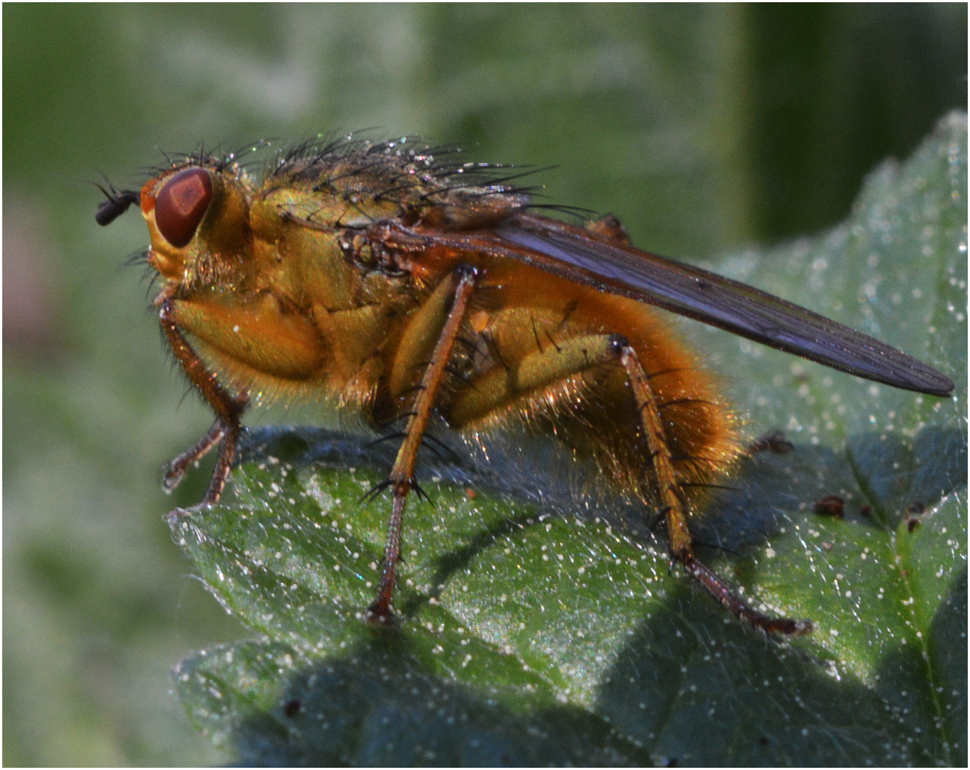 Наведение красоты.