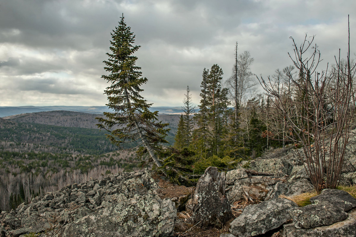 Ждущая зиму...