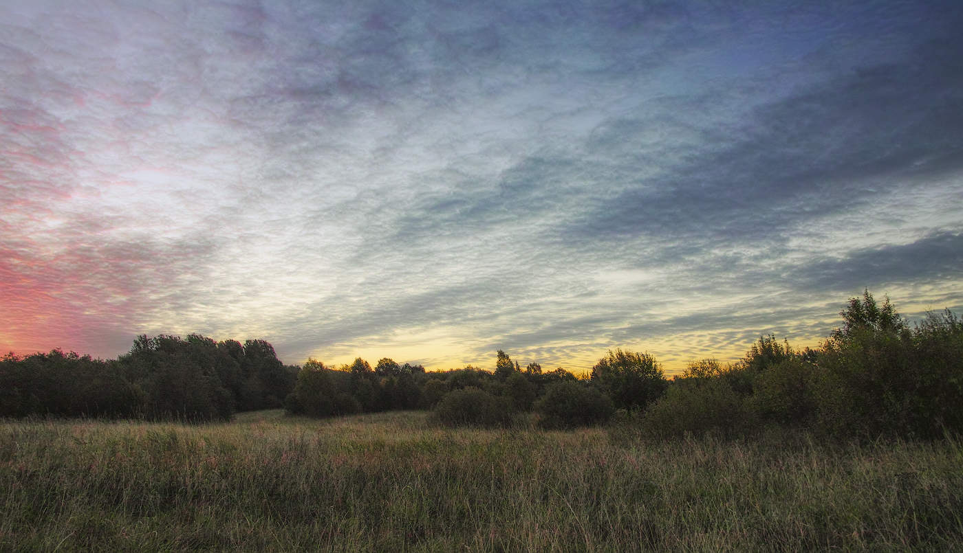 Осенне-полевой роман