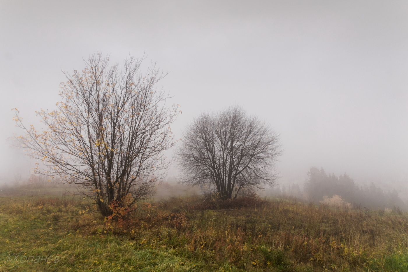 Романтика осени