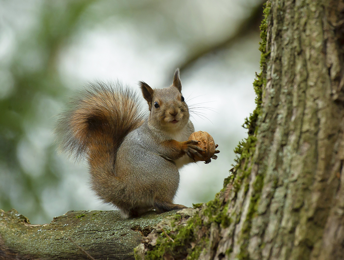 Ты это...приноси ещё...