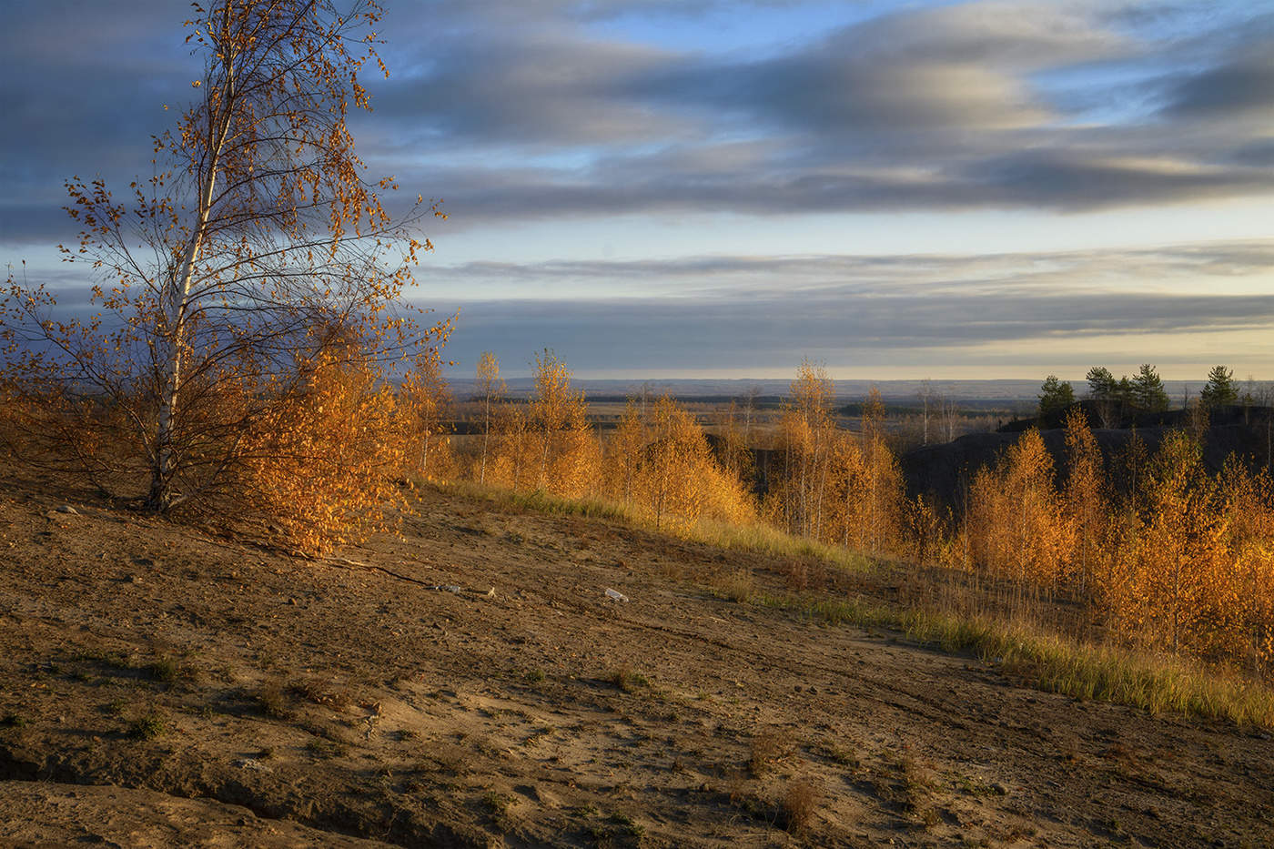 Золотая осень.