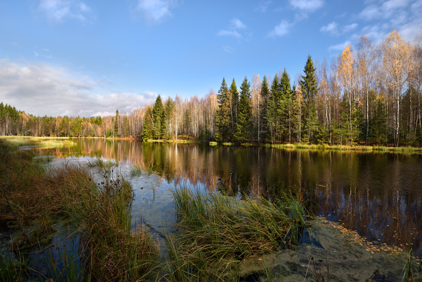 осенний пейзаж