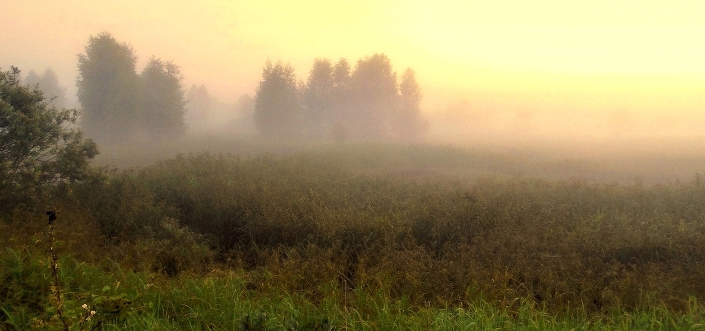 Туманный вечер