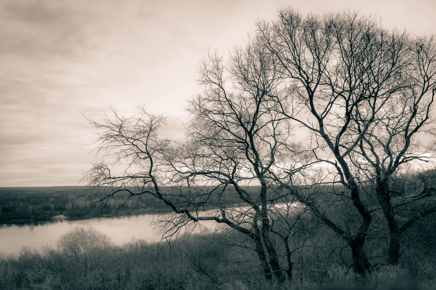 На склоне лет