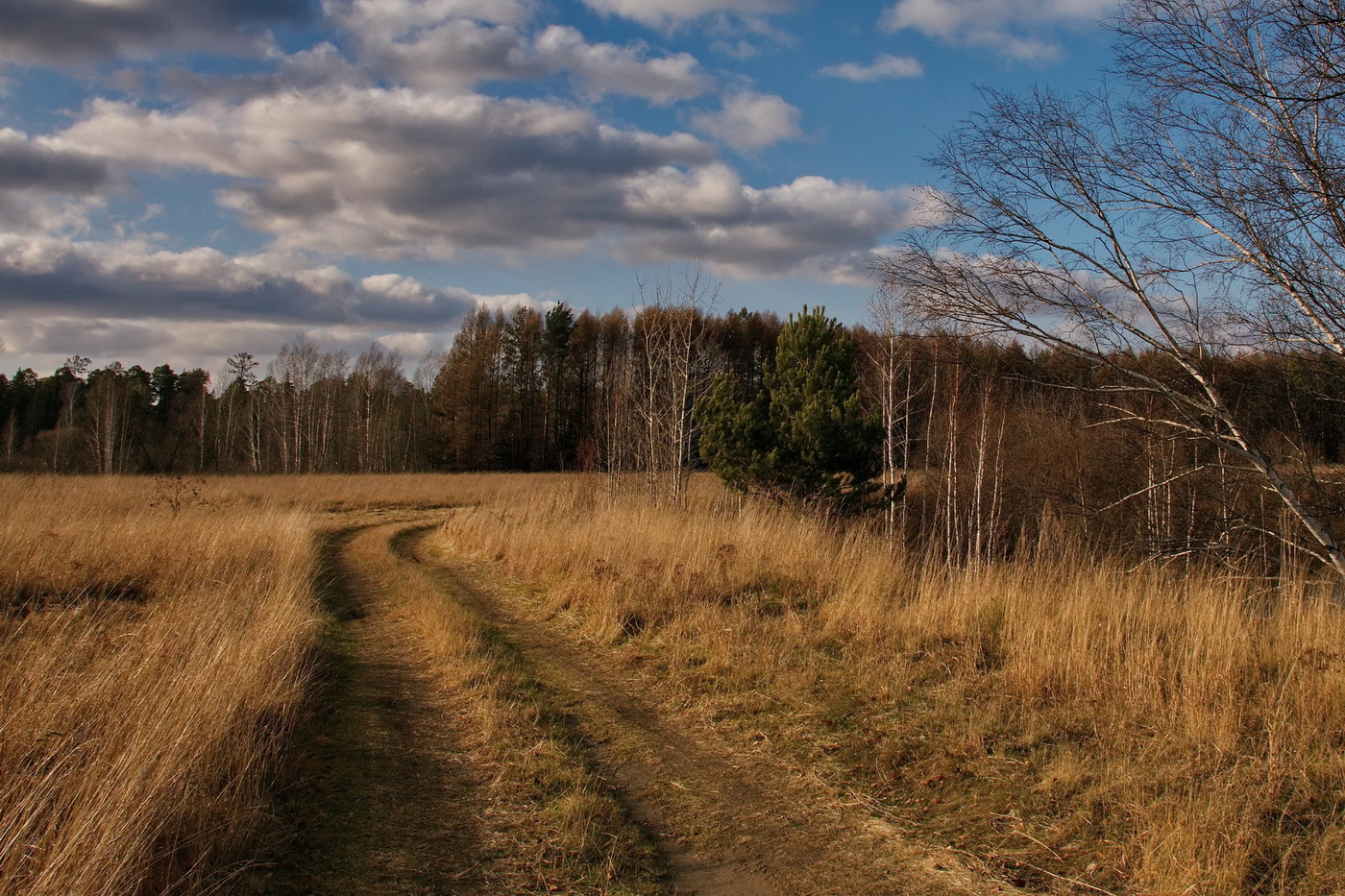 Осенним полднем
